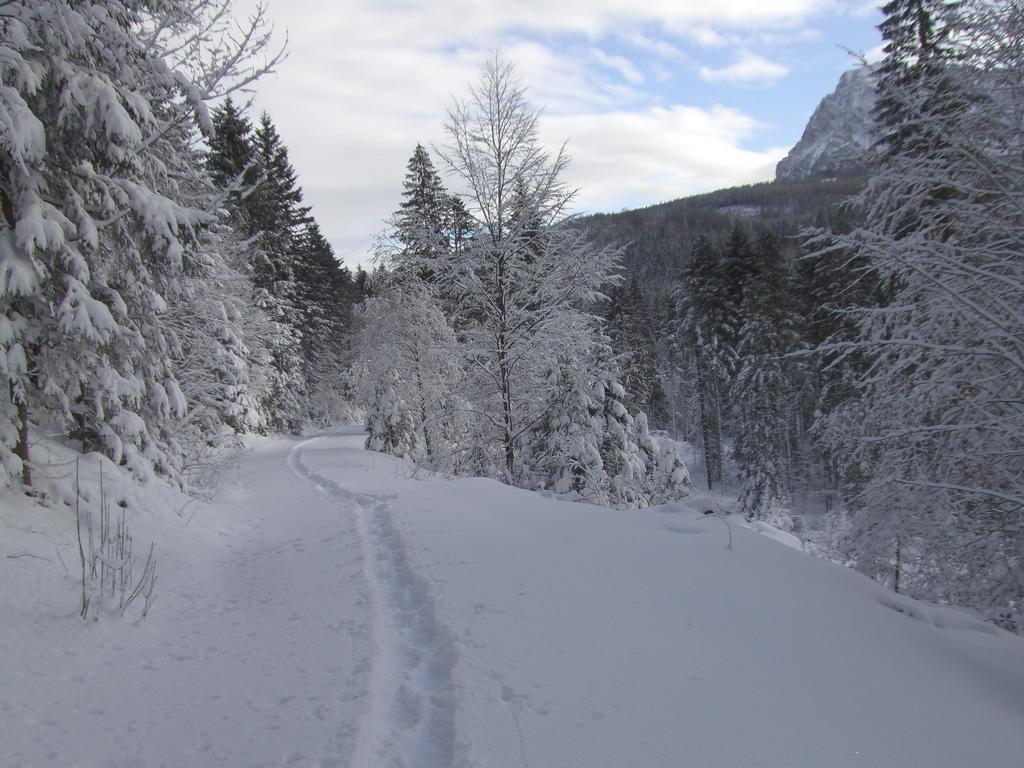 Ferienwohnung Am Roemerweg Wald Inzell Exteriér fotografie