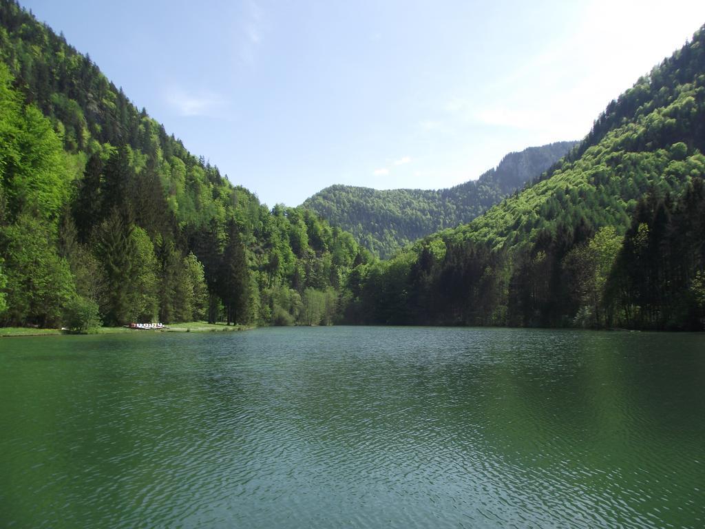 Ferienwohnung Am Roemerweg Wald Inzell Exteriér fotografie