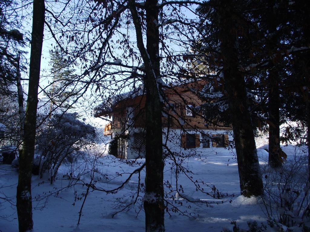 Ferienwohnung Am Roemerweg Wald Inzell Exteriér fotografie